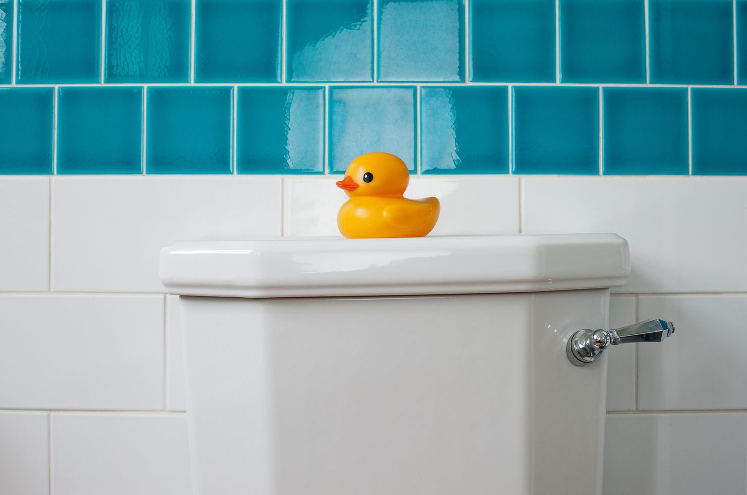 Yellow duck on white toilet