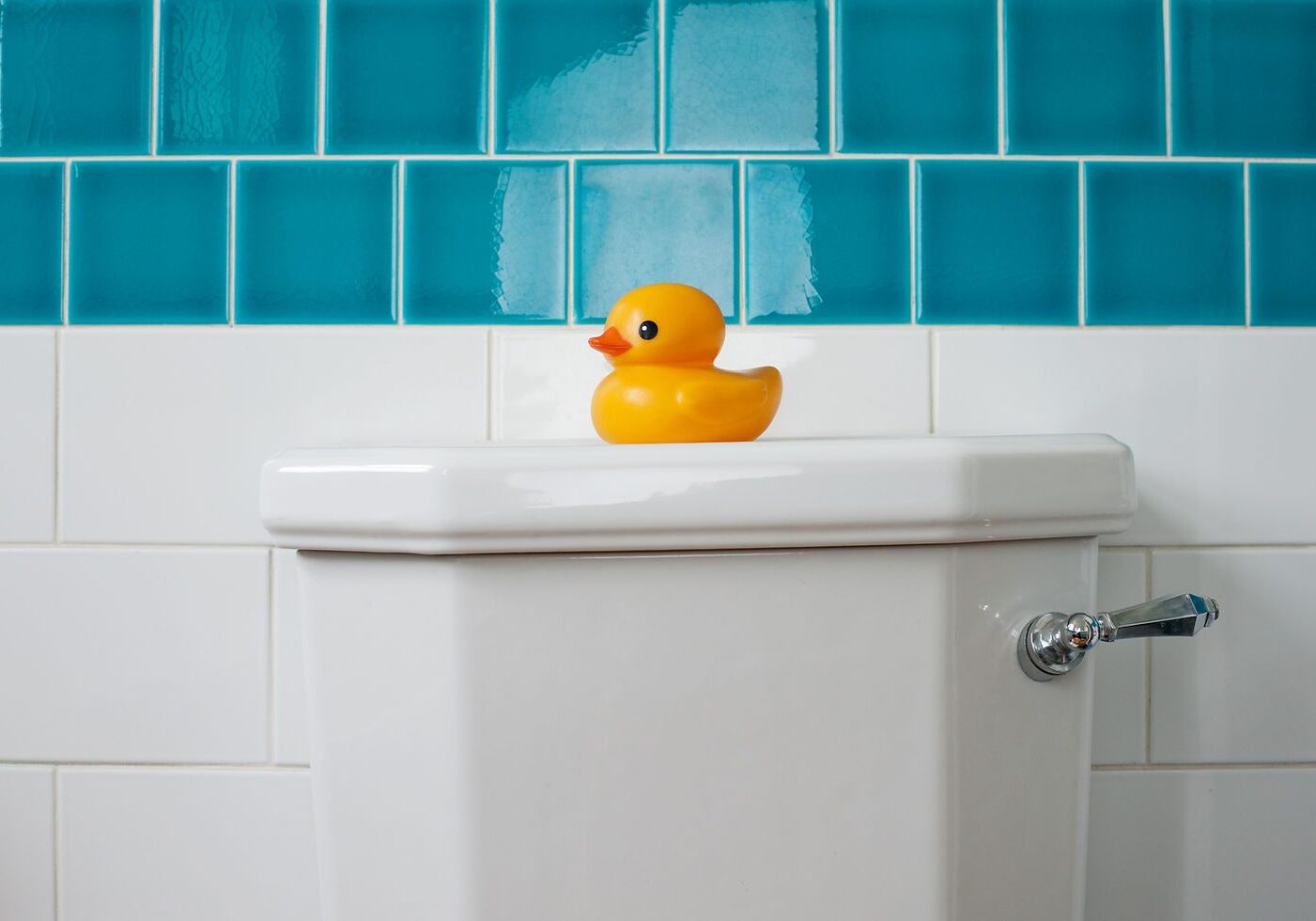Yellow duck on white toilet